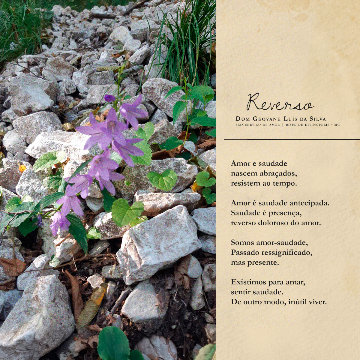 Foto de Reverso | Dom Geovane Luís