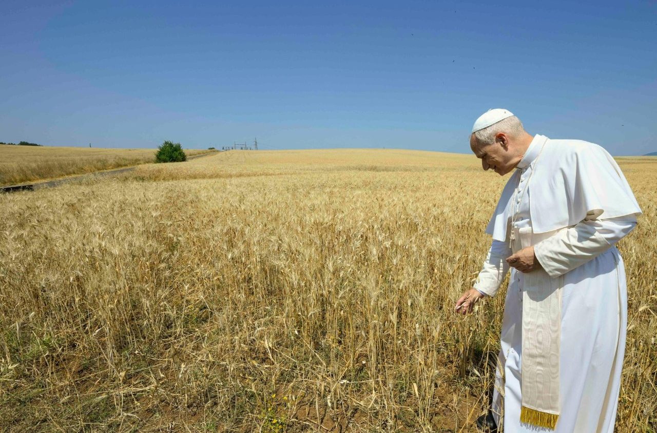 Notícia: Papa: a paz começa no coração e se estende ao cuidado da criação